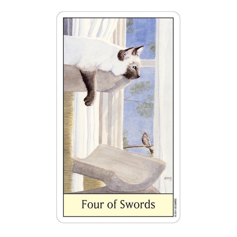 Kediler göz Tarot 12x7 cm kart - Tarot Deck With Guidebook incelemesi ve fiyatı