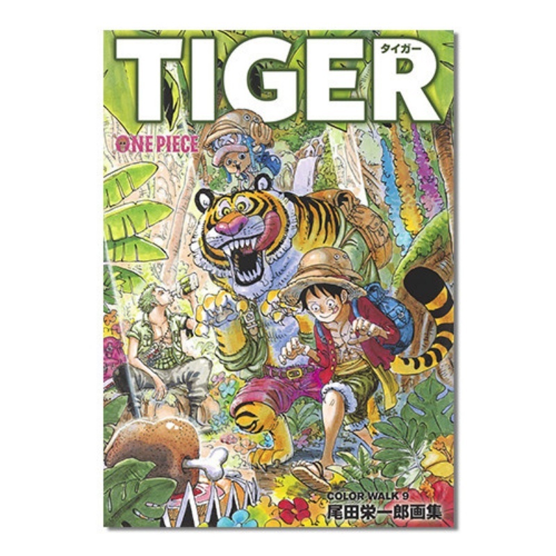 One Piece Çizim Kitabı Color W - Stationery Books incelemesi ve fiyatı