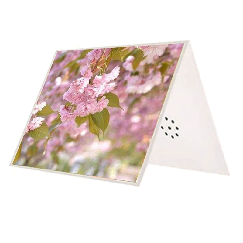 Kendin Yap Tebrik Kartı Konuşm - Blank Sheet Music Notebook incelemesi ve fiyatı
